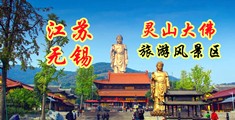 快用大鸡巴操我网站江苏无锡灵山大佛旅游风景区